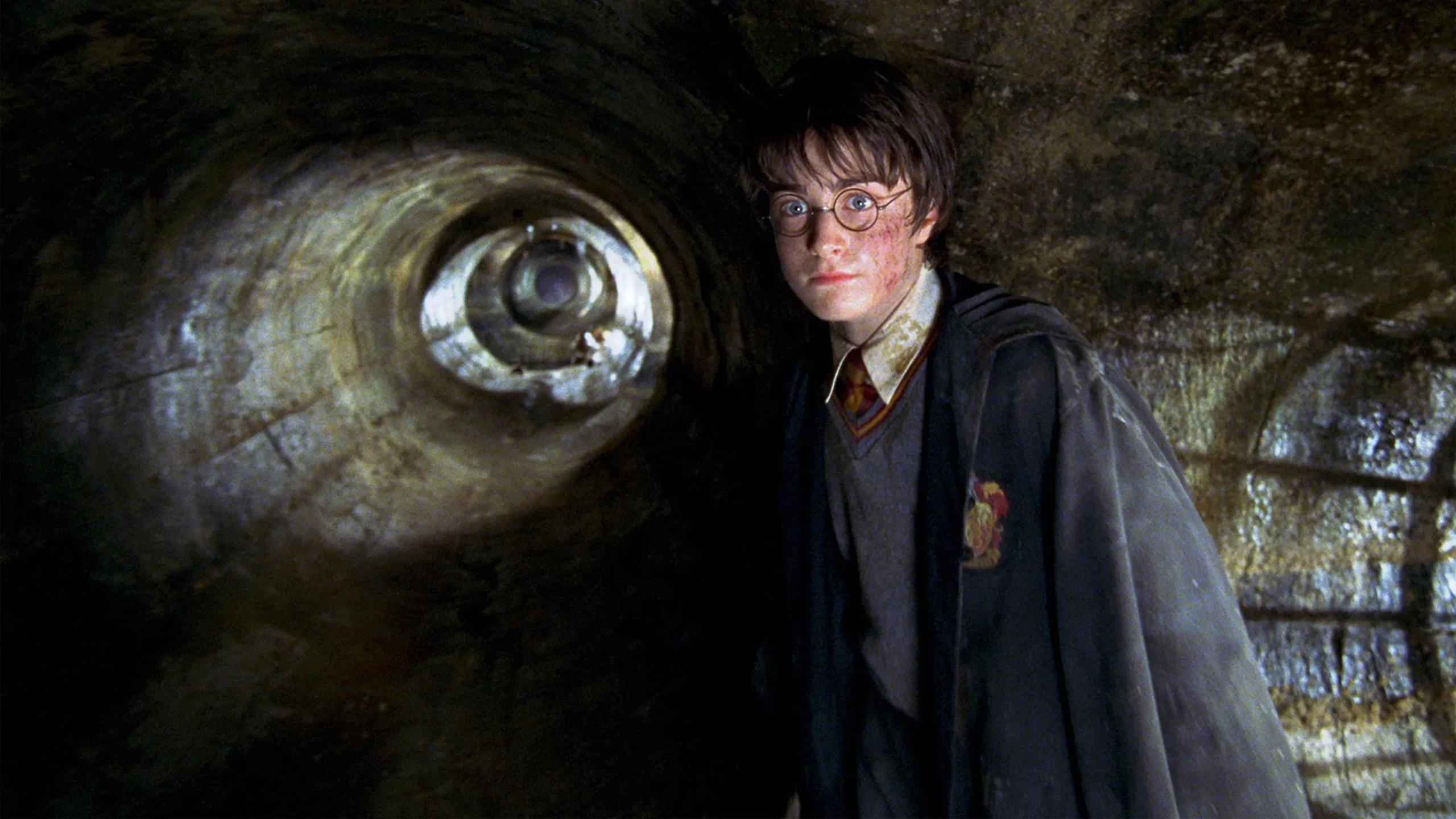 Harry Potter Chamber of Secrets final scene